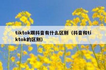 tiktok跟抖音有什么区别（抖音和tiktok的区别）