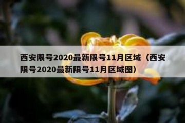 西安限号2020最新限号11月区域（西安限号2020最新限号11月区域图）