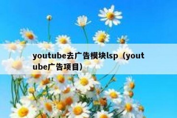 youtube去广告模块lsp（youtube广告项目）