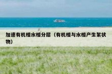 加速有机相水相分层（有机相与水相产生絮状物）