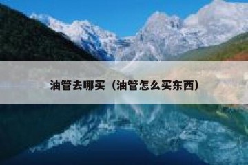 油管去哪买（油管怎么买东西）