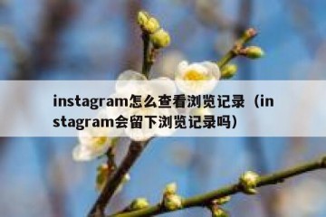instagram怎么查看浏览记录（instagram会留下浏览记录吗）