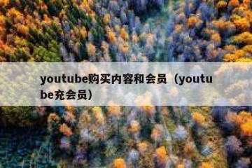 youtube购买内容和会员（youtube充会员）