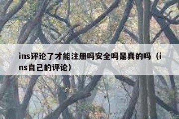 ins评论了才能注册吗安全吗是真的吗（ins自己的评论）
