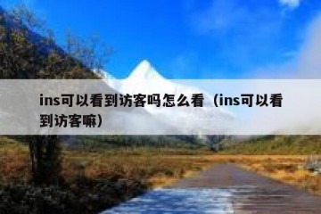 ins可以看到访客吗怎么看（ins可以看到访客嘛）