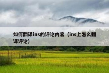 如何翻译ins的评论内容（ins上怎么翻译评论）