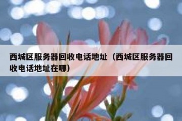 西城区服务器回收电话地址（西城区服务器回收电话地址在哪）