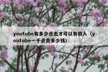 youtube有多少点击才可以有收入（youtube一千点击多少钱）