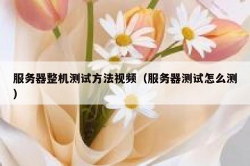 服务器整机测试方法视频（服务器测试怎么测）