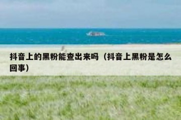 抖音上的黑粉能查出来吗（抖音上黑粉是怎么回事）
