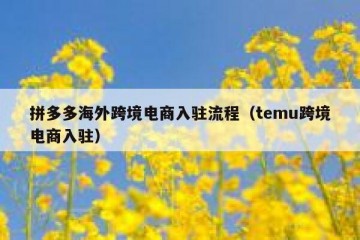 拼多多海外跨境电商入驻流程（temu跨境电商入驻）