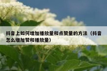 抖音上如何增加播放量和点赞量的方法（抖音怎么增加赞和播放量）