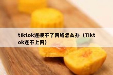 tiktok连接不了网络怎么办（Tiktok连不上网）