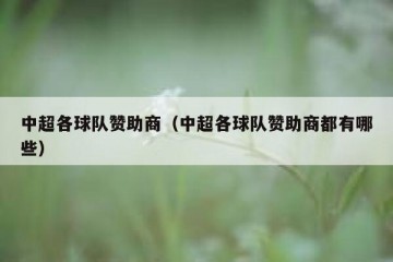 中超各球队赞助商（中超各球队赞助商都有哪些）