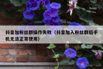 抖音加粉丝群操作失败（抖音加入粉丝群后手机无法正常使用）