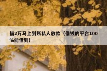 借2万马上到账私人放款（借钱的平台100%能借到）