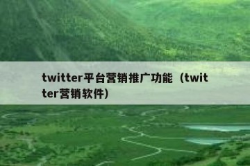 twitter平台营销推广功能（twitter营销软件）