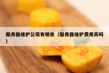 服务器维护公司有哪些（服务器维护费用高吗）