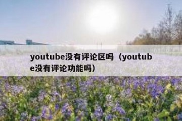 youtube没有评论区吗（youtube没有评论功能吗）