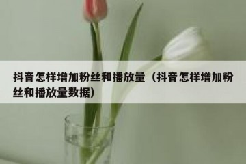 抖音怎样增加粉丝和播放量（抖音怎样增加粉丝和播放量数据）