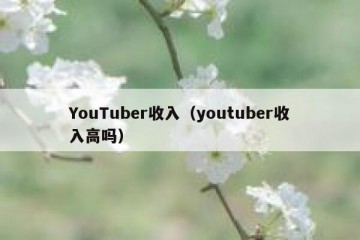 YouTuber收入（youtuber收入高吗）