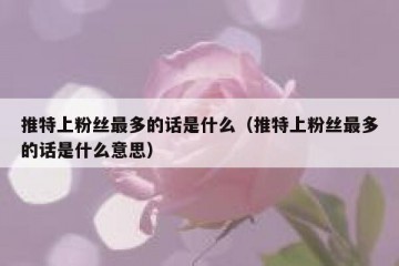 推特上粉丝最多的话是什么（推特上粉丝最多的话是什么意思）