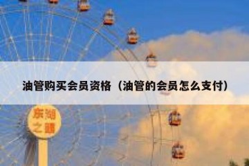油管购买会员资格（油管的会员怎么支付）