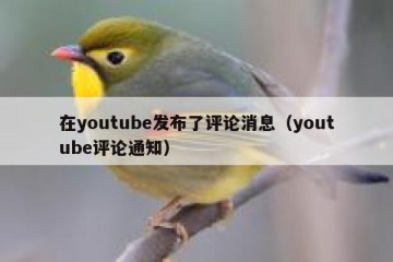 在youtube发布了评论消息（youtube评论通知）