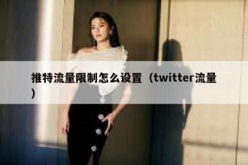 推特流量限制怎么设置（twitter流量）
