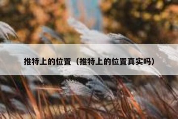 推特上的位置（推特上的位置真实吗）