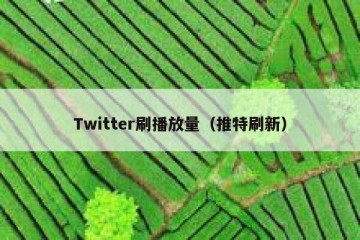 Twitter刷播放量（推特刷新）
