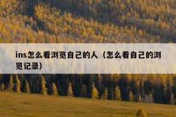 ins怎么看浏览自己的人（怎么看自己的浏览记录）