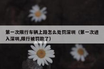 第一次限行车辆上路怎么处罚深圳（第一次进入深圳,限行被罚款了）