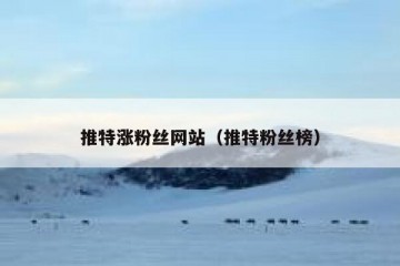 推特涨粉丝网站（推特粉丝榜）