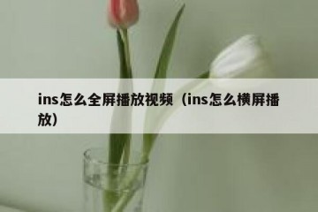 ins怎么全屏播放视频（ins怎么横屏播放）