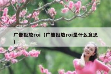 广告投放roi（广告投放roi是什么意思）