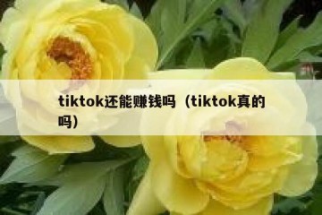 tiktok还能赚钱吗（tiktok真的吗）