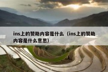 ins上的赞助内容是什么（ins上的赞助内容是什么意思）