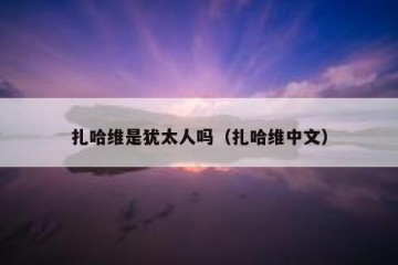 扎哈维是犹太人吗（扎哈维中文）