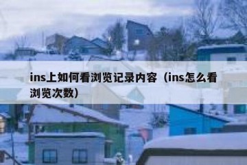 ins上如何看浏览记录内容（ins怎么看浏览次数）