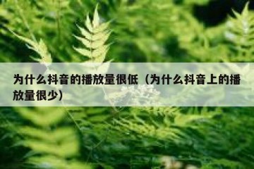 为什么抖音的播放量很低（为什么抖音上的播放量很少）