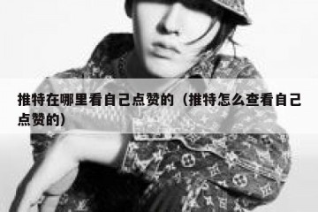 推特在哪里看自己点赞的（推特怎么查看自己点赞的）