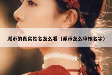 派币的真实姓名怎么看（派币怎么审核名字）