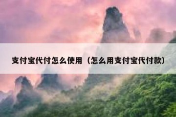 支付宝代付怎么使用（怎么用支付宝代付款）
