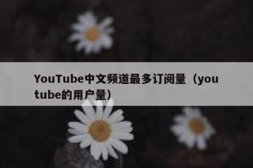 YouTube中文频道最多订阅量（youtube的用户量）