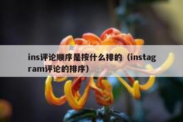 ins评论顺序是按什么排的（instagram评论的排序）