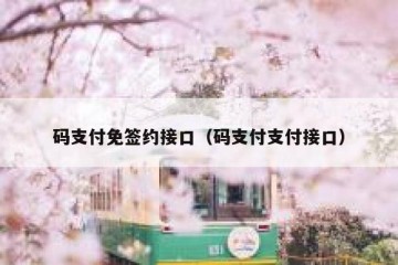 码支付免签约接口（码支付支付接口）