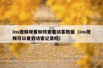 ins视频观看如何查看访客数据（ins视频可以看到访客记录吗）