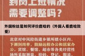 外国粉丝是如何评价鹿晗的（外国人看鹿晗致爱）
