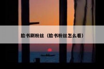 脸书刷粉丝（脸书粉丝怎么看）
